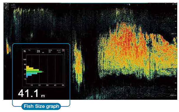 Furuno FCV-2100 fish size graph Furuno FCV-2100 fish size graph